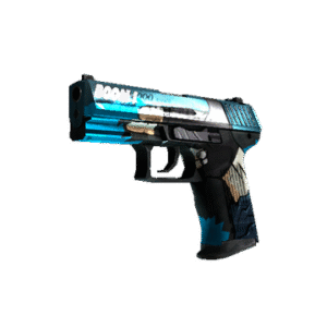 P2000 | Handgun (Field-Tested)