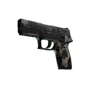 P250 | Black & Tan (Battle-Scarred)