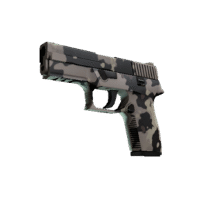 P250 | Black & Tan (Factory New)