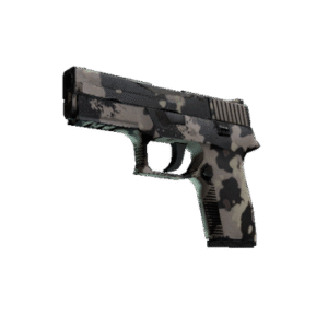P250 | Black & Tan (Field-Tested)