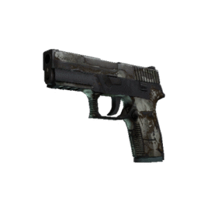 P250 | Bone Mask (Battle-Scarred)
