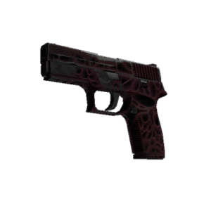 P250 | Contaminant (Field-Tested)
