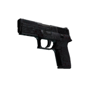 P250 | Dark Filigree (Field-Tested)