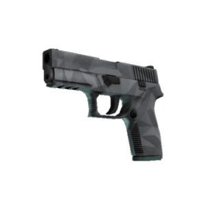 P250 | Facets (Minimal Wear)