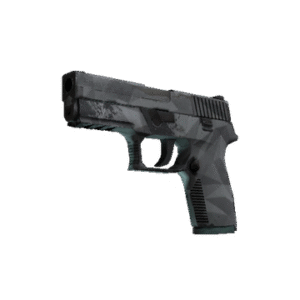 P250 | Facets (Field-Tested)