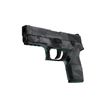 P250 | Facets (Field-Tested)