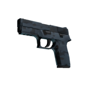 P250 | Forest Night (Factory New)