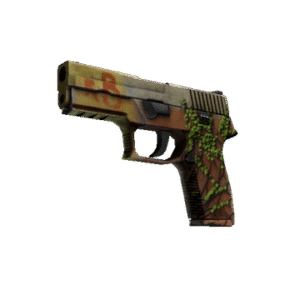 P250 | Inferno (Field-Tested)