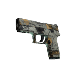 P250 | Modern Hunter (Field-Tested)