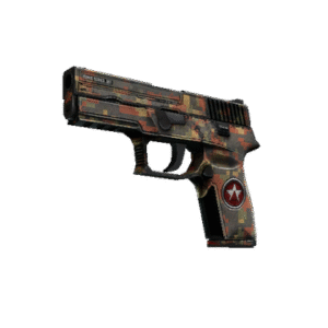 P250 | Red Rock (Battle-Scarred)