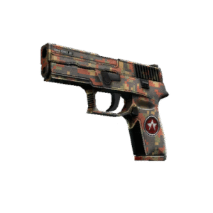 P250 | Red Rock (Field-Tested)