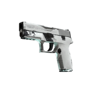 P250 | Whiteout (Field-Tested)