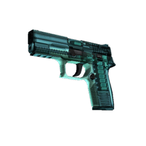 P250 | X-Ray (Factory New)