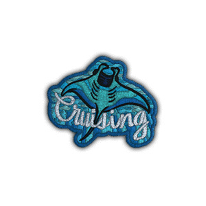 Patch | Cruising Ray